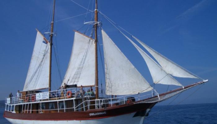 Tradicionalni brod za krstarenje Omladinac