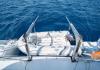 Lagoon 450 Fly 2020  jedrenje