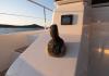 Fountaine Pajot MY6 2024  2024.
