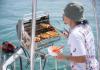 Fountaine Pajot Lucia 40 2017  jedrenje