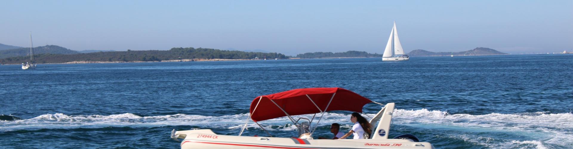 Barracuda 590