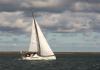 Sun Odyssey 439 2014  iznajmljivanje